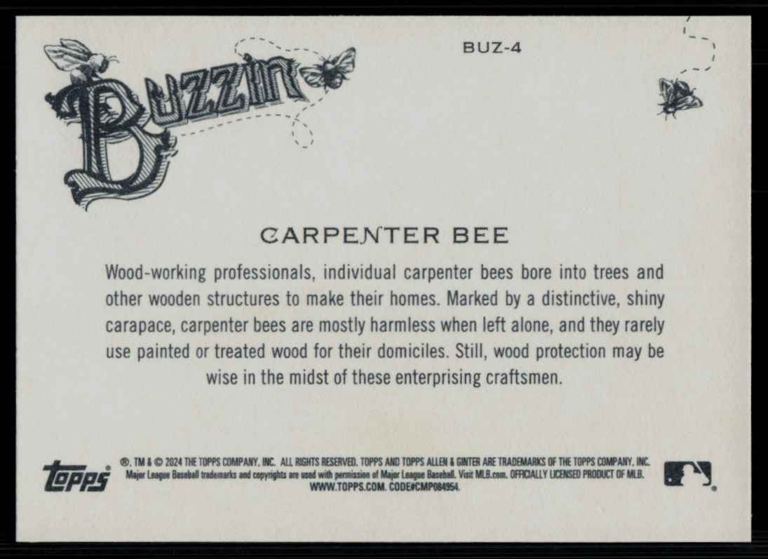 2024 Topps Allen & Ginter Buzzin CARPENTER BEE #BUZ-4 card back image