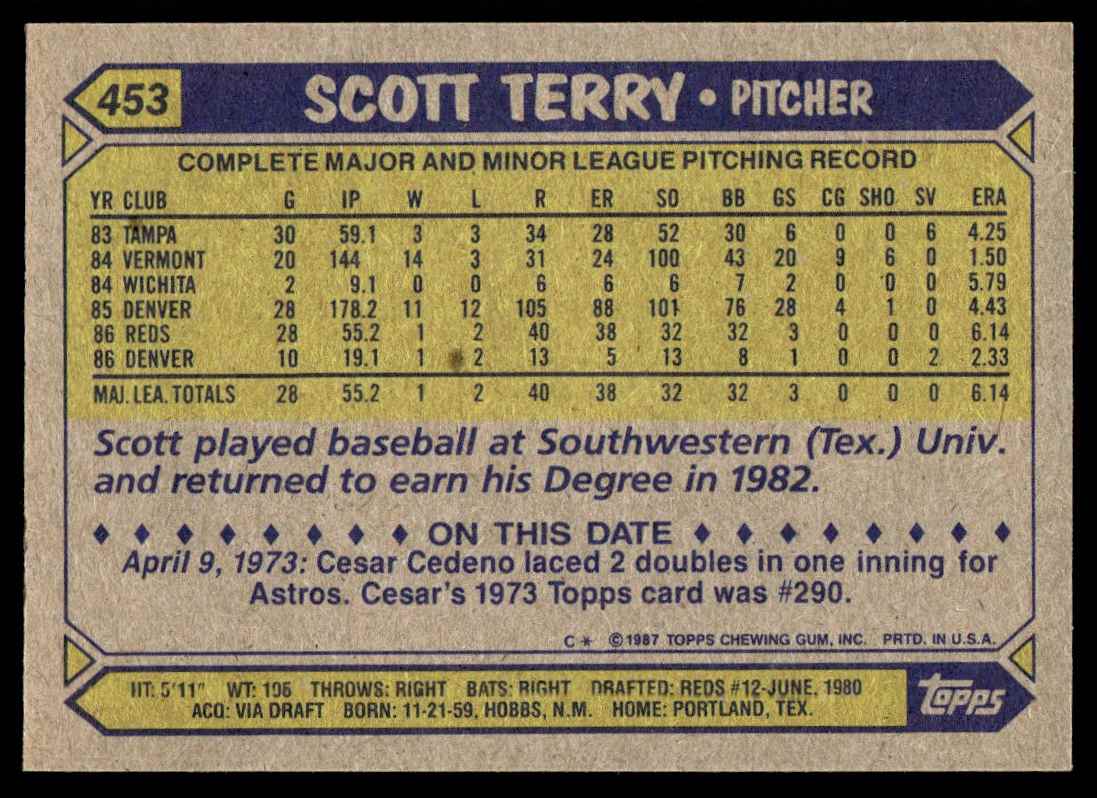 1987 Topps Scott Terry #453 card back image