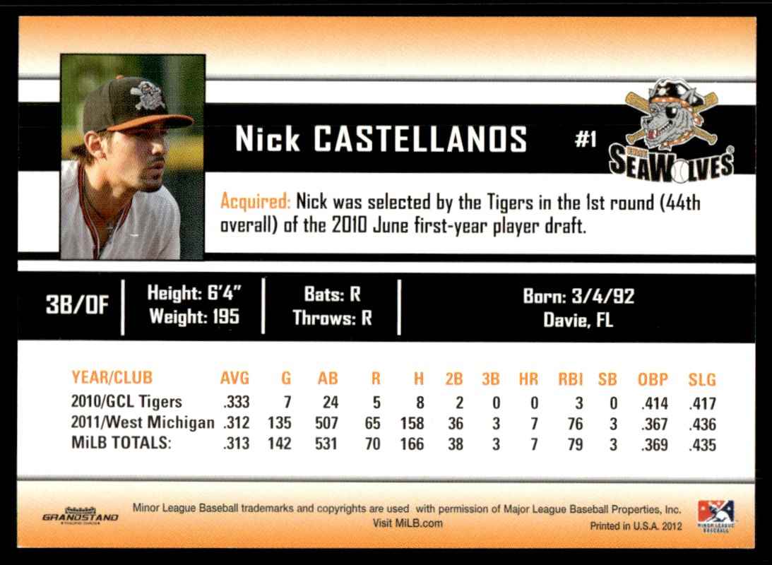 2012 MiLB Nick Castellanos card back image